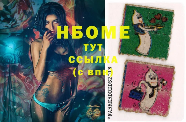 твердый Аркадак